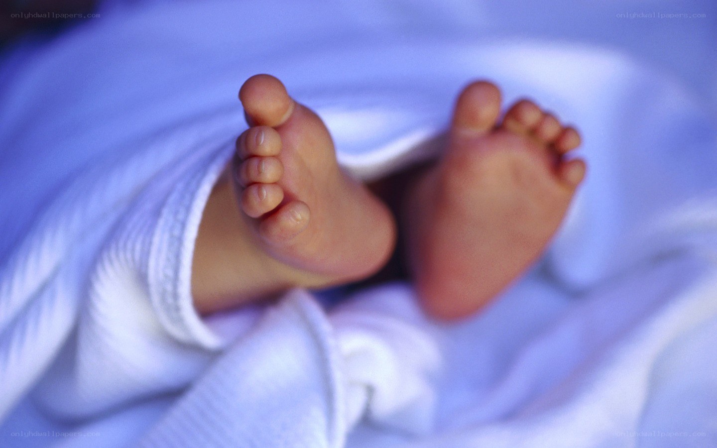 Baby feet under blanket