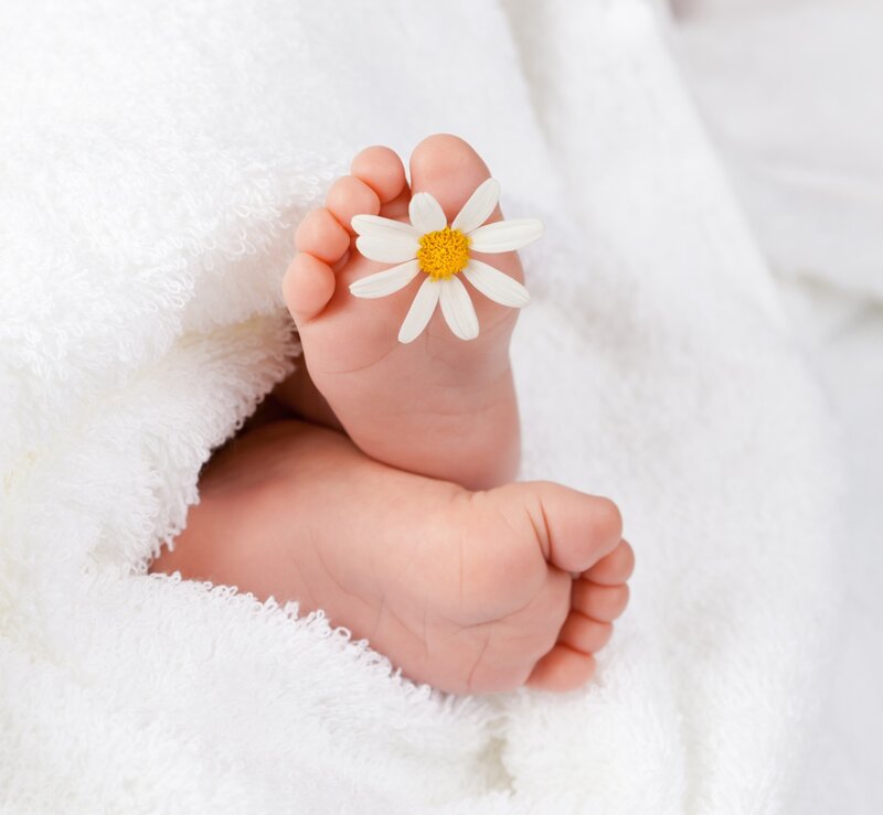 Baby Feet with Daisy