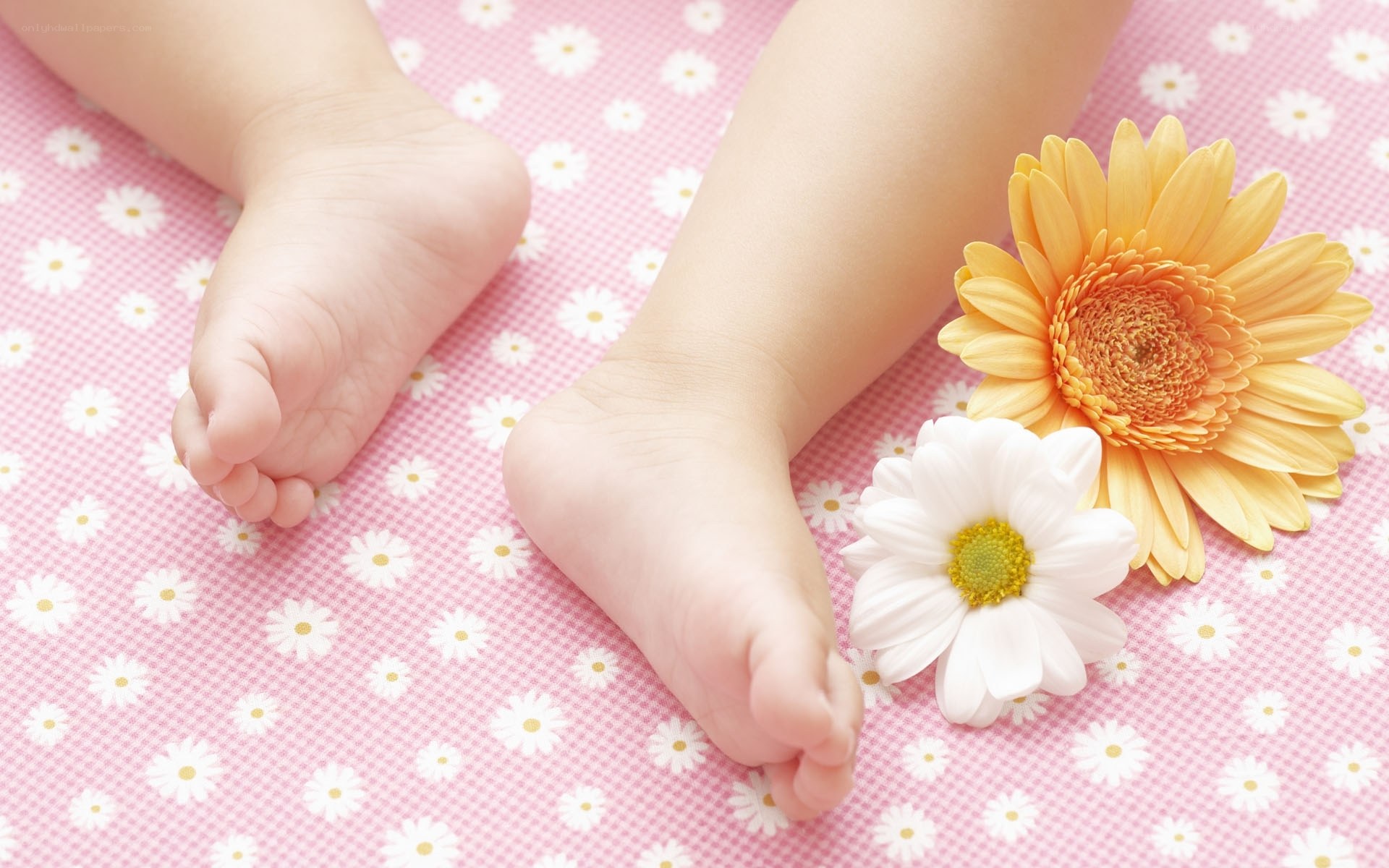 Baby feet with flowers