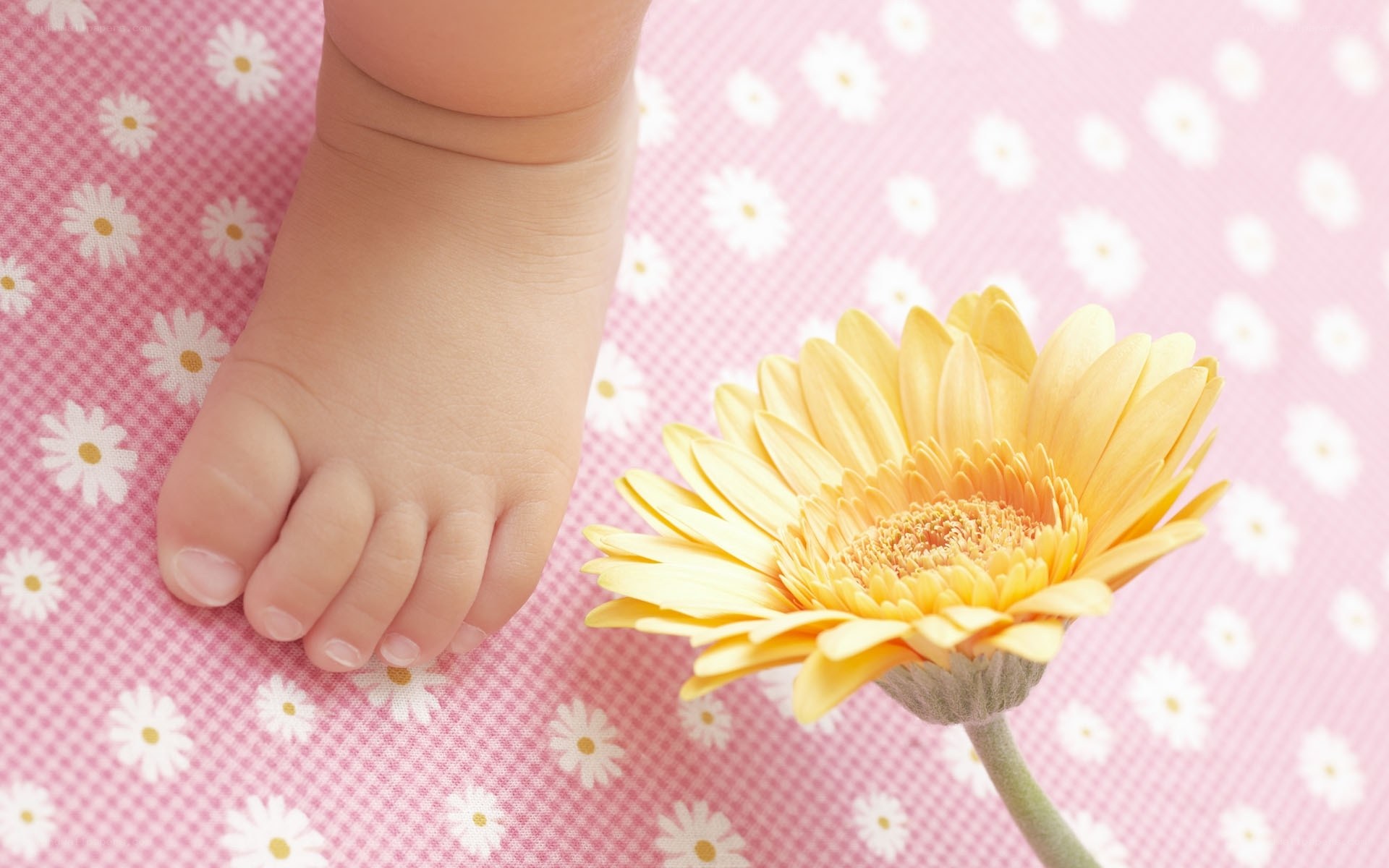Baby foot with yellow flower