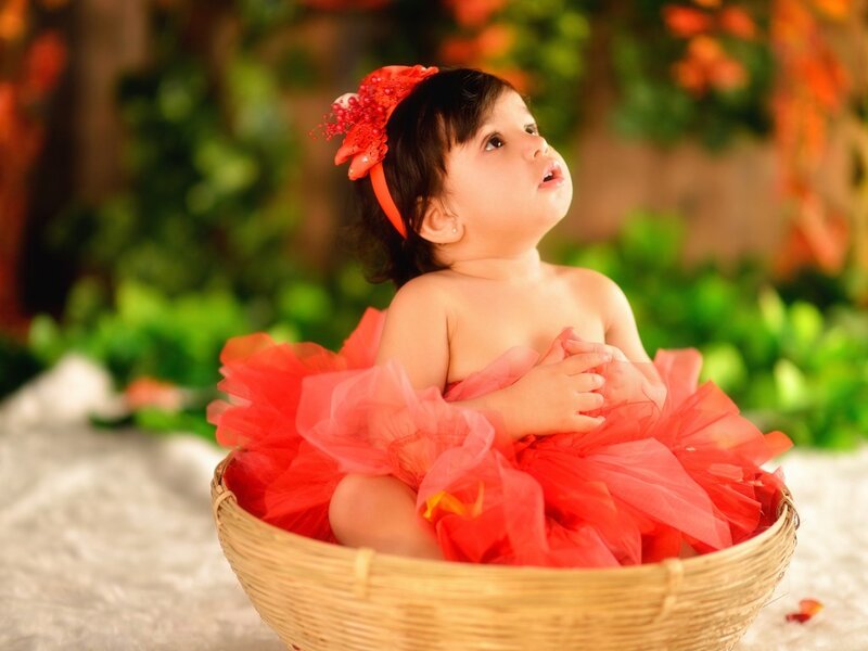 Baby Girl in Basket — Red