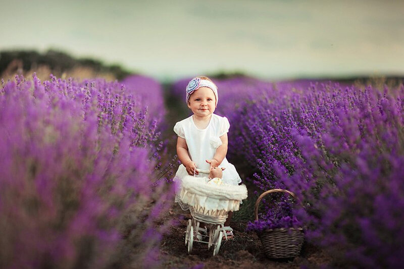 Baby Girl in Lavender Field — Purple, Serene