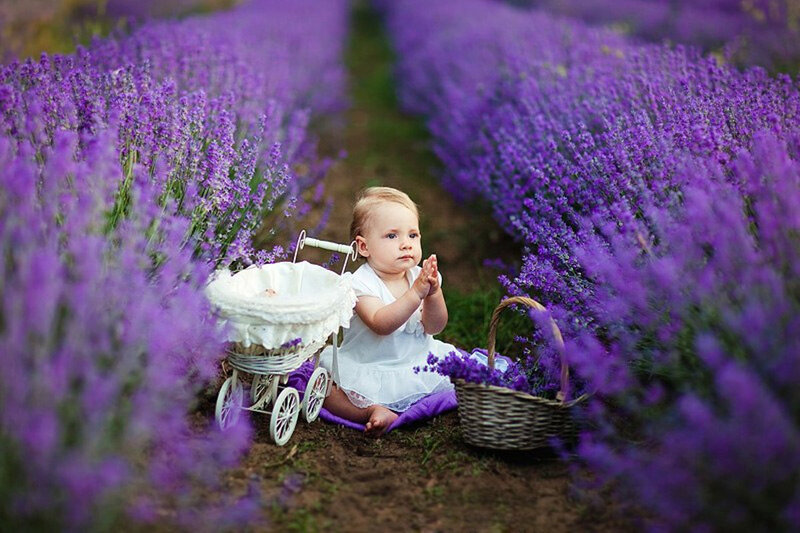 Baby Girl in Lavender Field — Purple