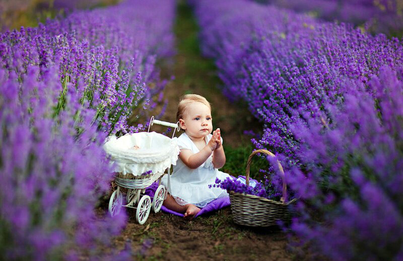 Baby Girl in Lavender Field