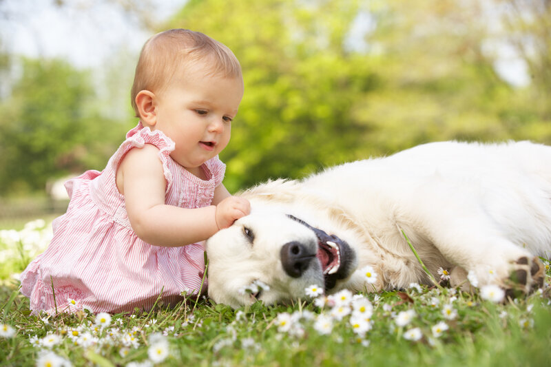Baby Girl Petting Dog