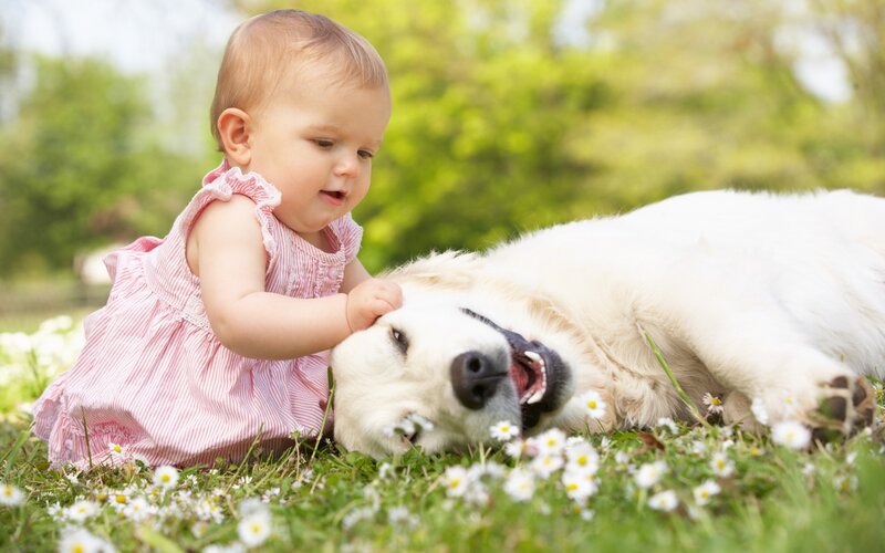 Baby Girl with Dog