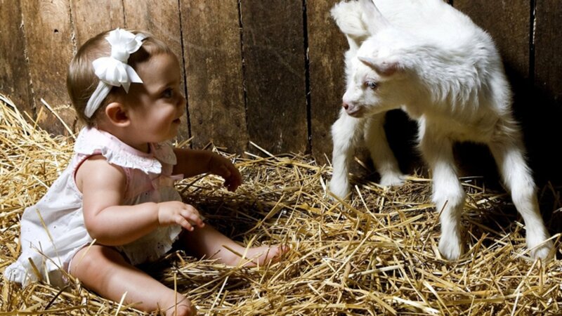 Baby Girl with Goat