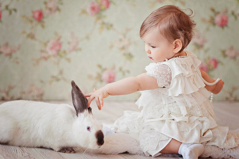 Baby Girl with Rabbit — White, Serene