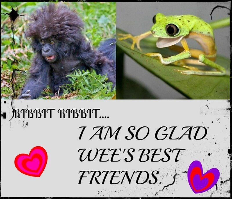 Baby Gorilla and Frog