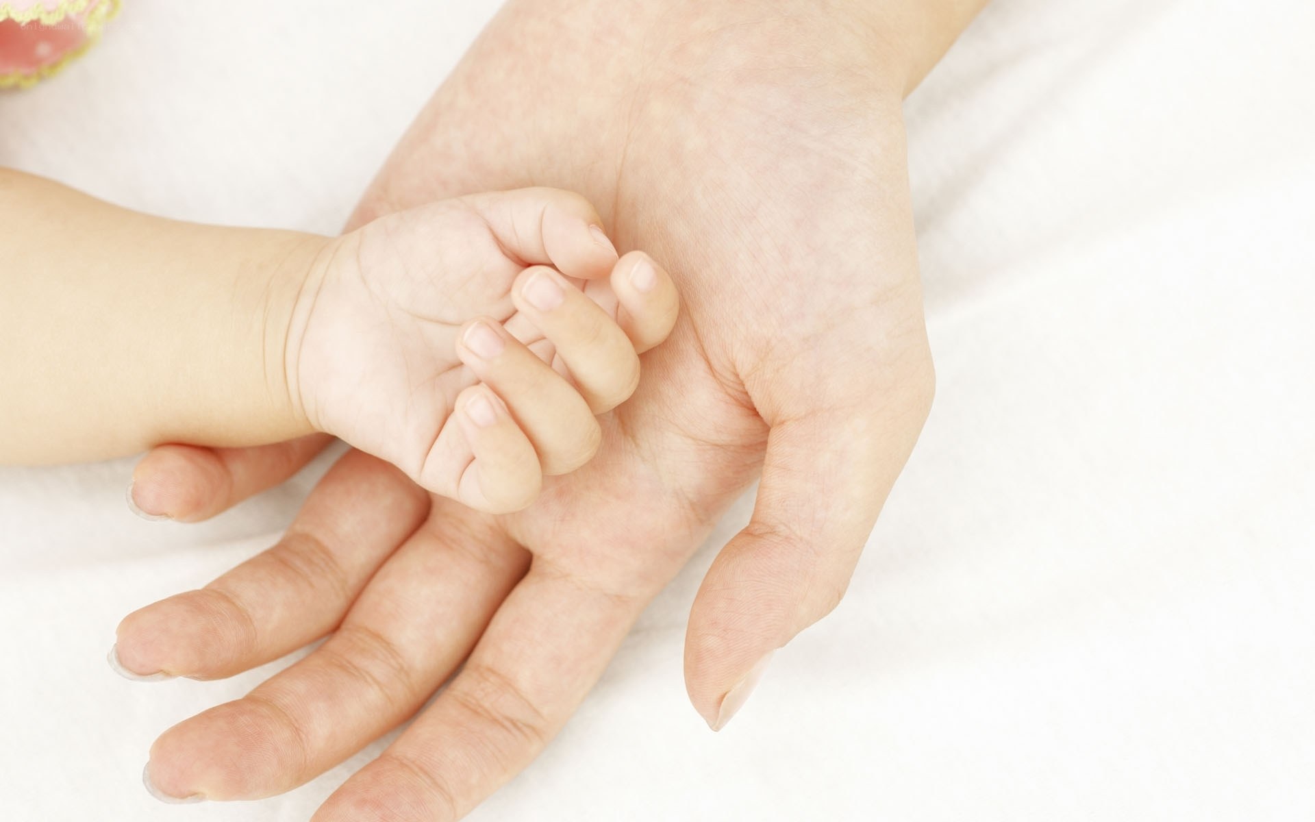Baby hand holding adult hand