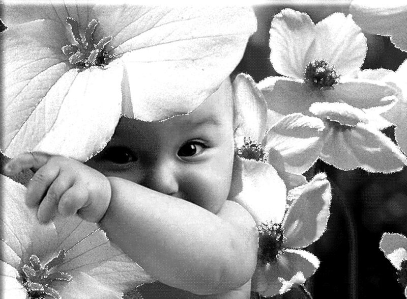 Baby Hiding Behind Flowers