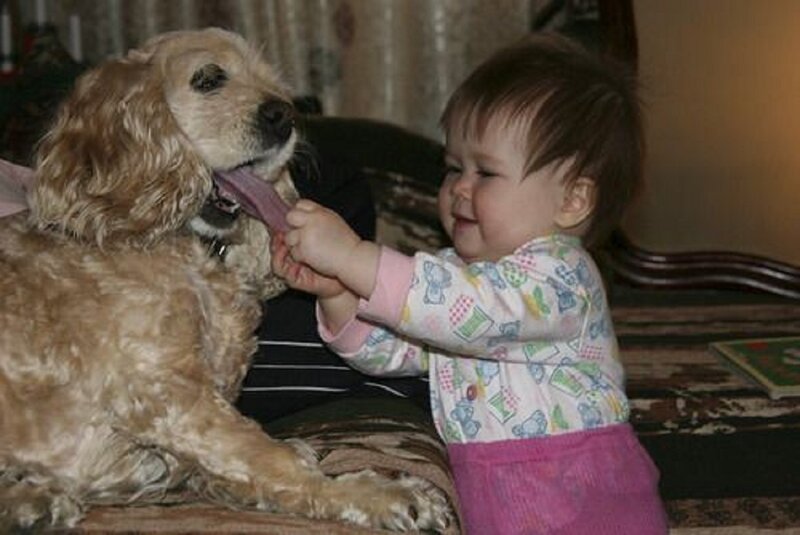Baby Holding Dog's Tongue
