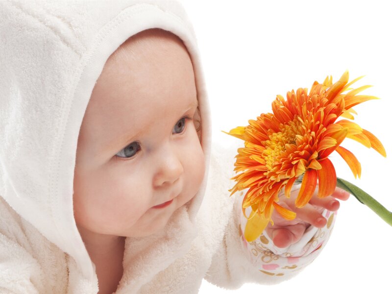 Baby Holding Flower — White
