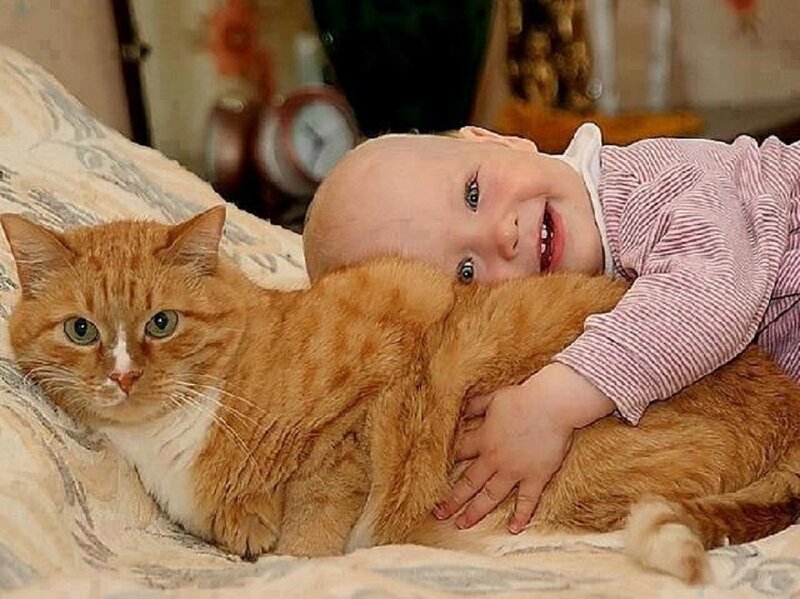 Baby Hugging Cat — Orange