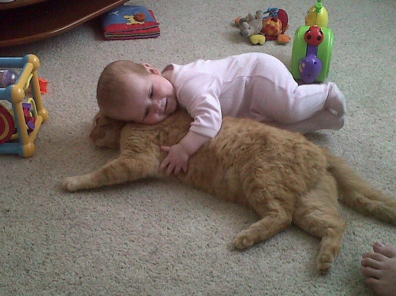 Baby Hugging Cat