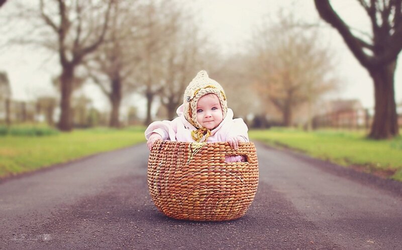 Baby in a Basket — Brown, Serene, Spring