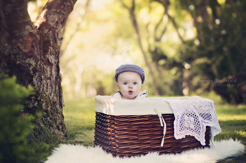 Baby in a Basket — Brown, Serene