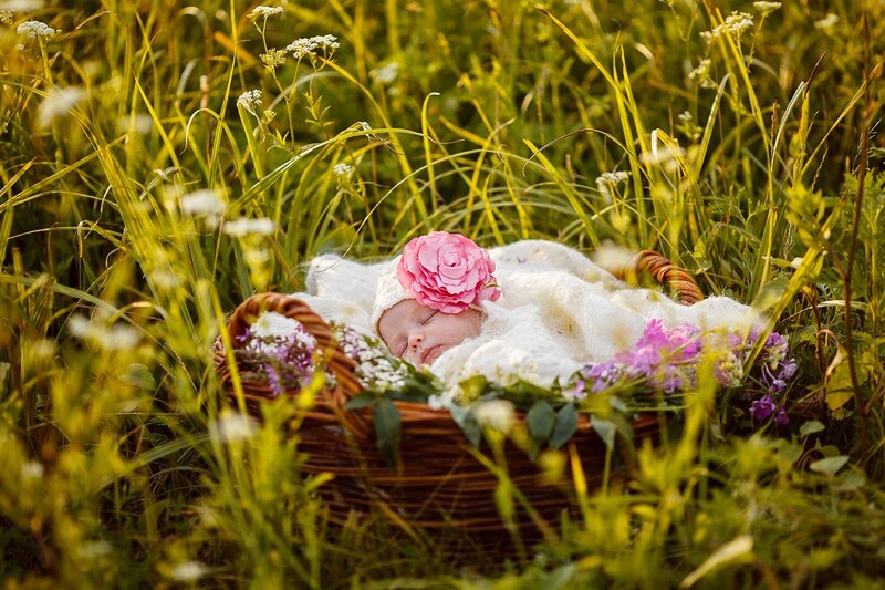 Baby in a Basket — Green, Serene, Afternoon, Photograph