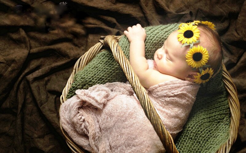 Baby in a Basket — Green