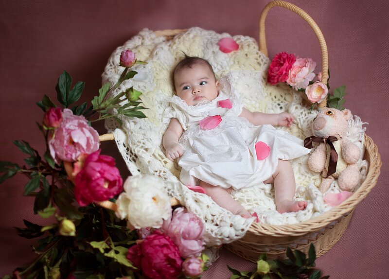 Baby in a Basket — Pink, Serene
