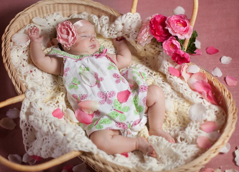 Baby in a Basket — Pink