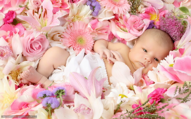 Baby in a bed of flowers
