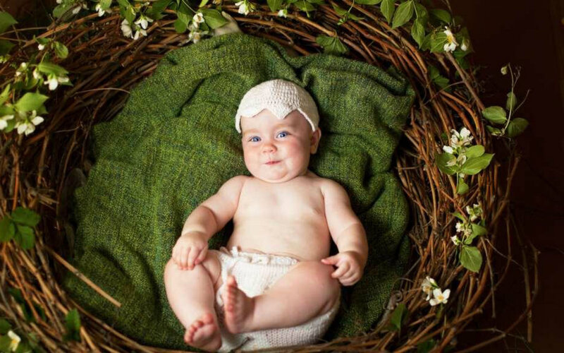 Baby in a Nest — Green, Serene