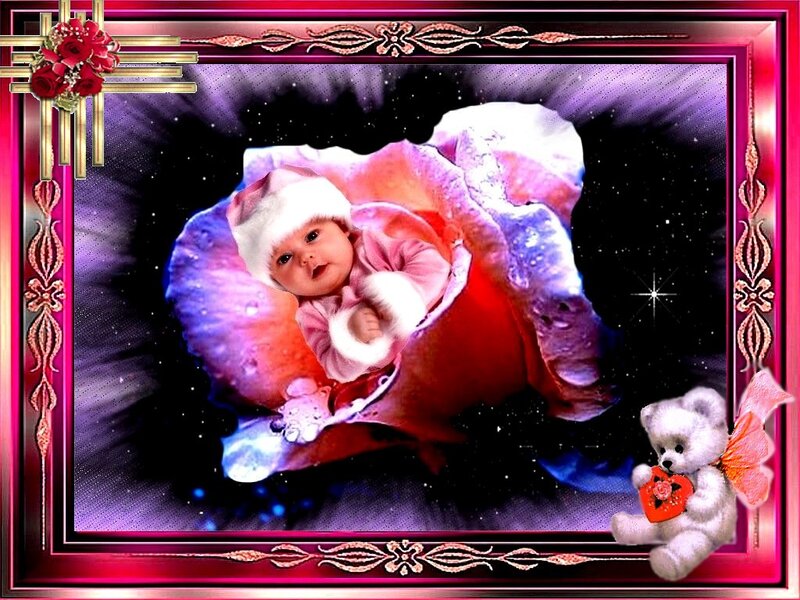 Baby in a Rose — Purple