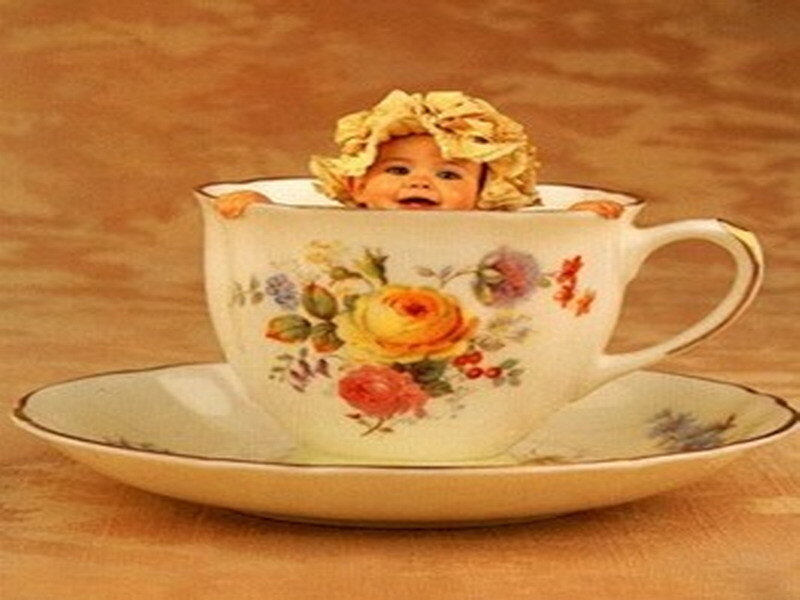 baby in a teacup