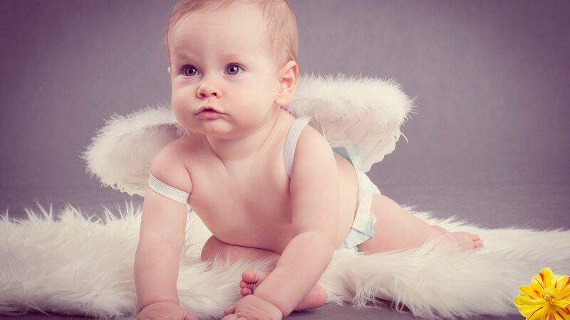 Baby in Angel Costume — Purple