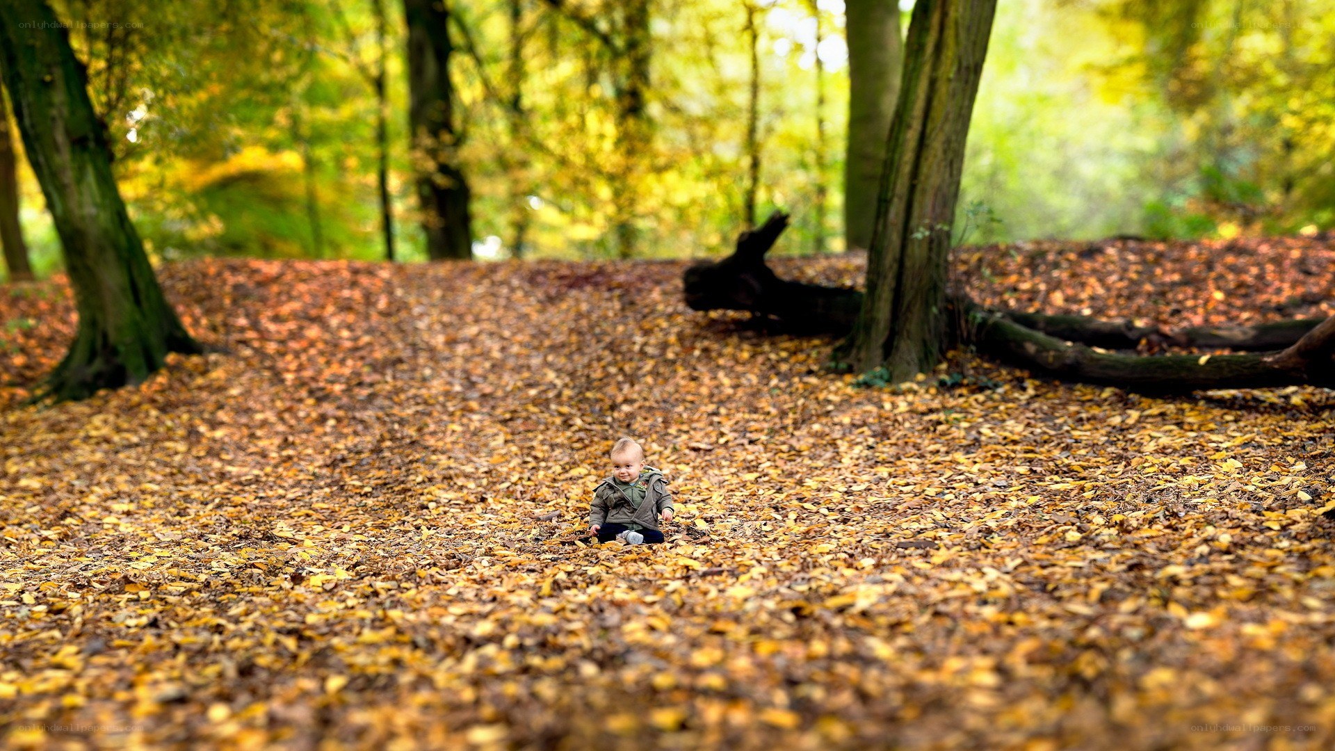 Baby in autumn forest
