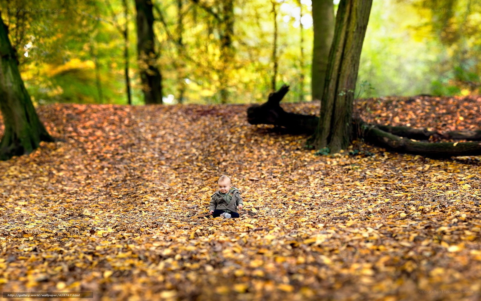 Baby in autumn forest