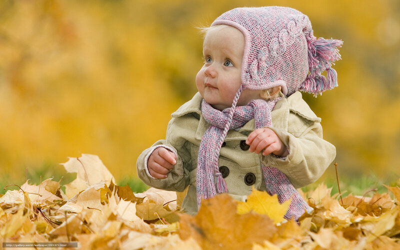 Baby in autumn leaves