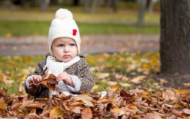 Baby in Autumn Leaves — Brown, Calm, Photograph