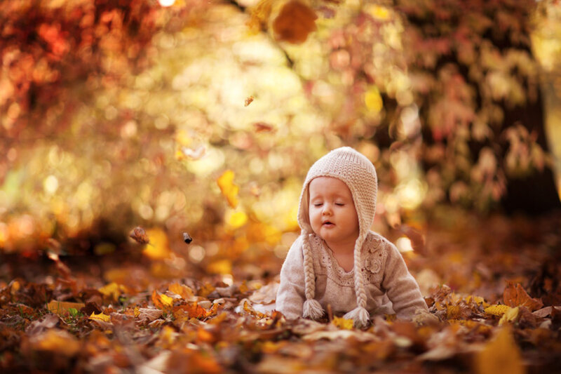 Baby in Autumn Leaves — Brown, Serene, Photograph
