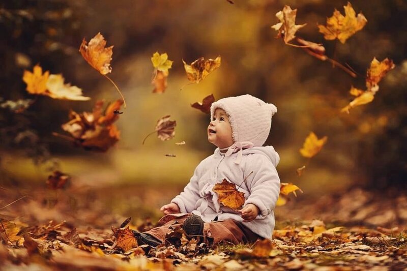 Baby in Autumn Leaves — Brown, Serene