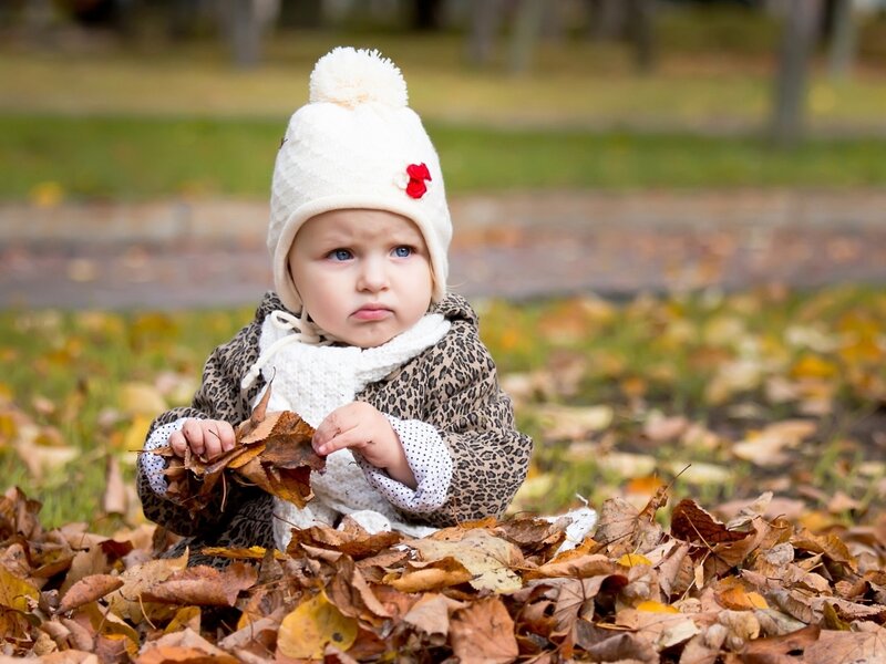 Baby in Autumn Leaves — Brown