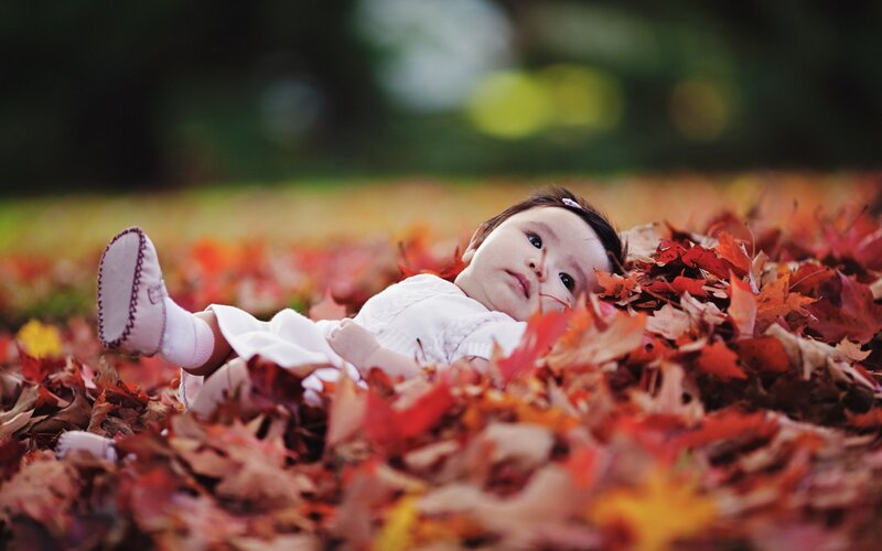 Baby in Autumn Leaves — Red
