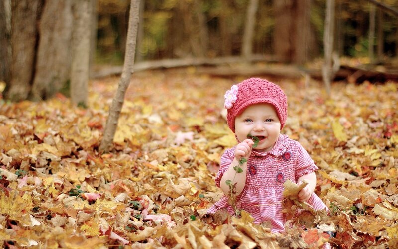 Baby in Autumn Leaves — Yellow, Peaceful, Photograph