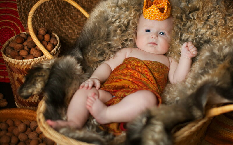 Baby in Basket — Brown, Calm, Photograph, Fur
