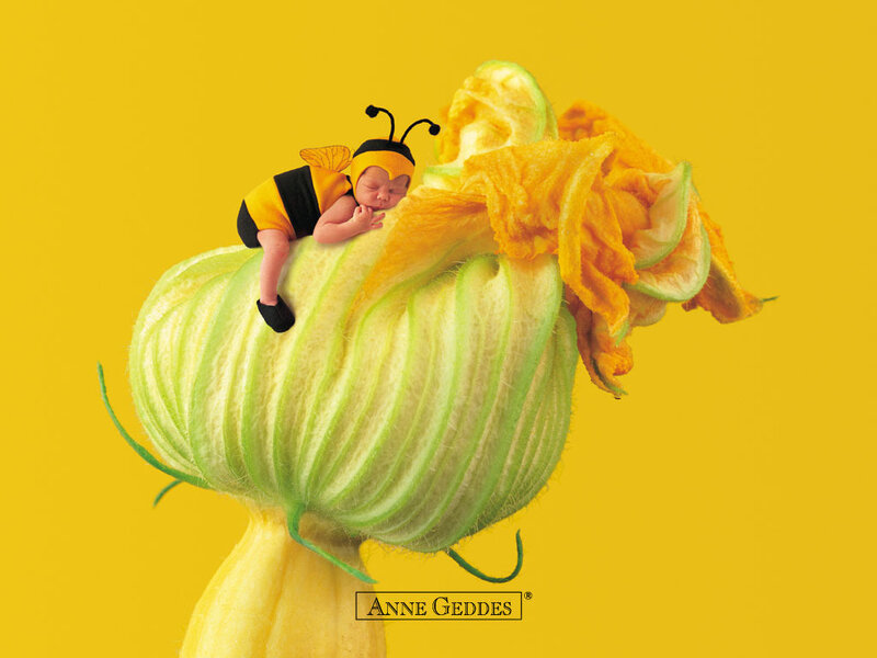 Baby in bee costume on flower