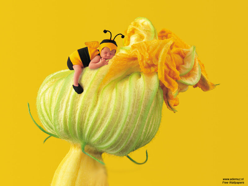 Baby in bee costume on flower