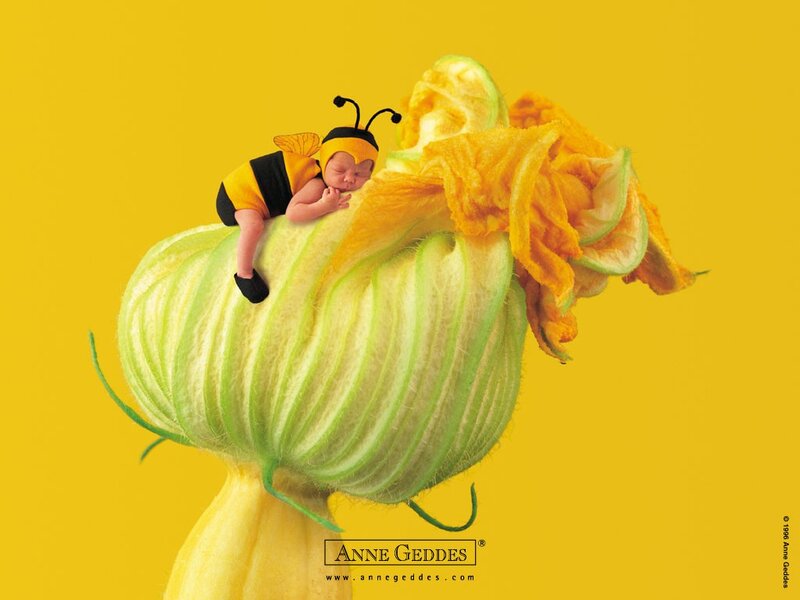 Baby in bee costume on flower
