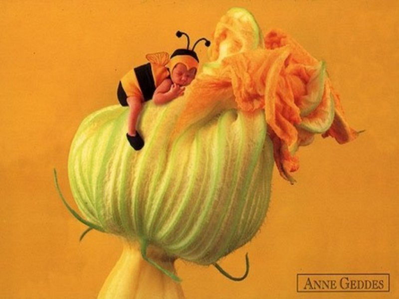 Baby in Bee Costume