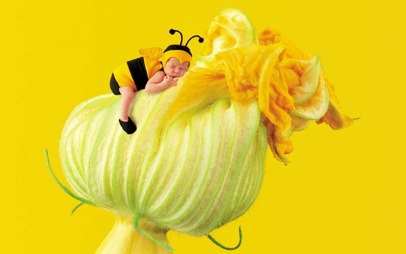 Baby in Bee Costume — Yellow