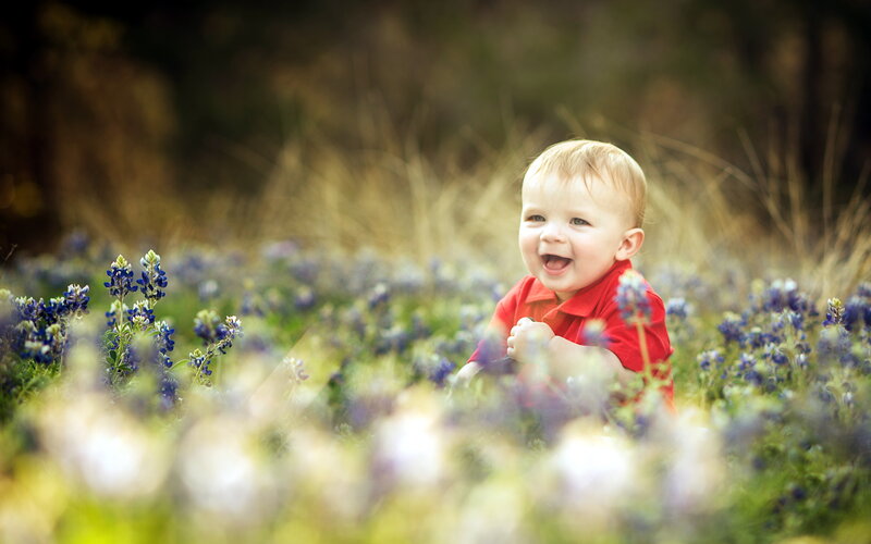 Baby in Bluebonnet Field — Red