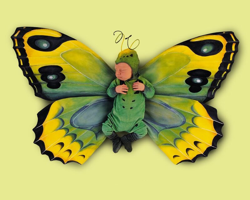 baby in butterfly costume