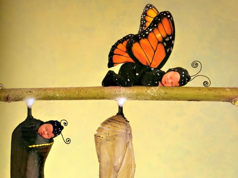 Baby in butterfly costume