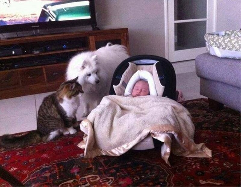 Baby in Car Seat — Red