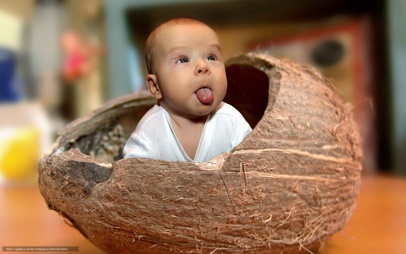 Baby in Coconut Shell — Brown, Playful, Photograph, Coconut Shell